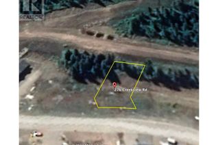 Commercial Land for Sale, 276 Creekview Road, Apex Mountain, BC