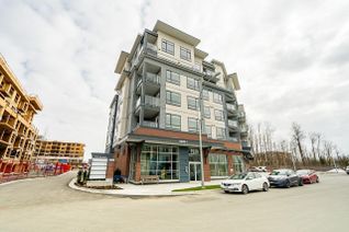 Condo Apartment for Sale, 7920 206 Street #211, Langley, BC