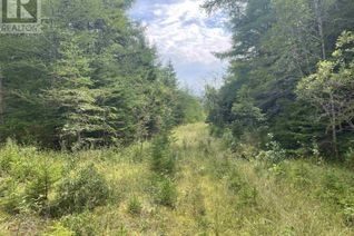 Commercial Land for Sale, Highway 105, Baddeck, NS