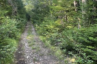 Land for Sale, Macdonald Lane, Whiteside, NS