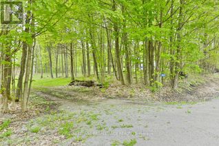 Commercial Land for Sale, 1465 Philipston Road, Centre Hastings, ON