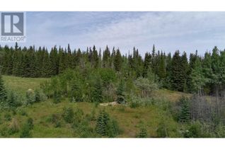 Land for Sale, 660 Sparks Road, Burns Lake, BC