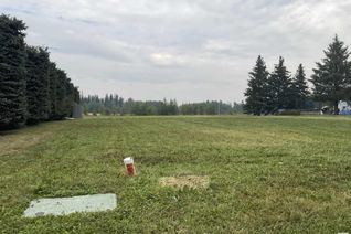 Commercial Land for Sale, 4804 53 Av, Thorsby, AB