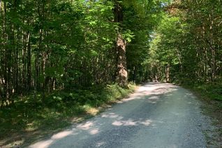 Land for Sale, 66 Fire Route 71, Galway-Cavendish and Harvey, ON