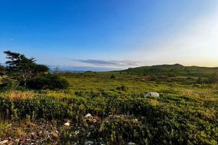 Land for Sale, 36 Reid, Upper Island Cove, NL