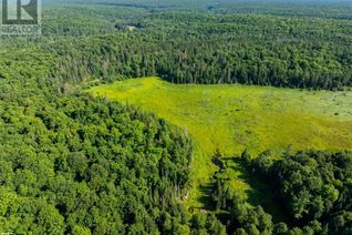 Land for Sale, 1650 Hekkla Road, Utterson, ON