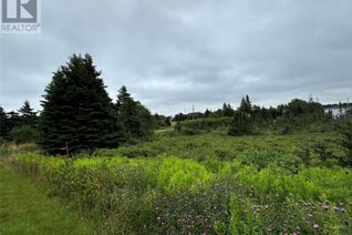 Land for Sale, 17 Crowes Lane, Torbay, NL