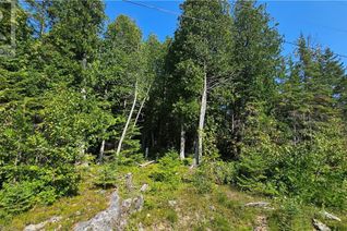 Commercial Land for Sale, Pt Lt 35 Con 3 Wbr Murray Avenue, Northern Bruce Peninsula, ON