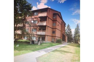 Condo Apartment for Sale, 203 14816 26 St Nw, Edmonton, AB