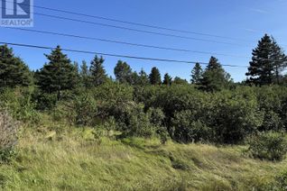 Land for Sale, 0 Southside Road, Boyd's Cove, NL