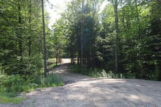 Vacant Residential Land for Sale, 0 Ingoldsby Rd, Minden Hills, ON