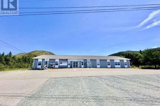 Commercial/Retail Property for Sale, 10-18 Bay L' Argent Highway, St. Bernard's-Jacques Fontaine, NL