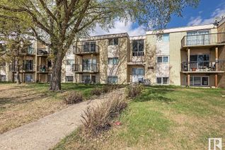 Condo Apartment for Sale, 37b 13230 Fort Rd Nw, Edmonton, AB