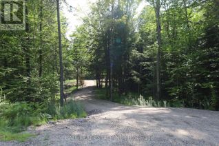 Commercial Land for Sale, 0 Ingoldsby Road, Minden Hills, ON