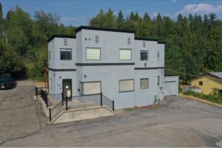 Commercial/Retail Property for Sale, 2316 Columbia Avenue, North Castlegar, BC