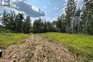 Commercial Land for Sale, 67417 Mcgrane Road #121, Lac La Biche, AB