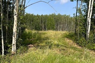 Commercial Land for Sale, 67417 Mcgrane Road #123, Lac La Biche, AB