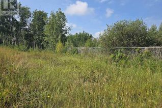 Land for Sale, 1019 391 Township, Rural Red Deer County, AB