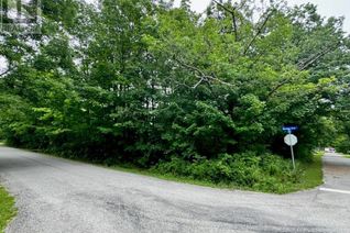 Commercial Land for Sale, Lot 136 Shawnee Trail, Ridgeway, ON