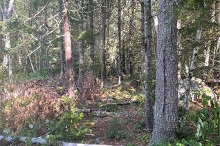 Land for Sale, 80 Whittier Road, Rollingdam, NB