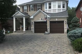 House for Rent, 62 Delphinium Ave #Bsmt, Richmond Hill, ON