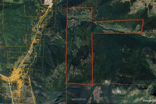 Land for Sale, Dl 1243 Boulder Pit Road, Salmo, BC