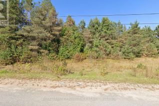 Land for Sale, 0 Lloyd Street, Addington Highlands, ON