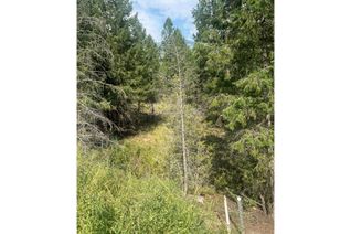 Vacant Residential Land for Sale, Lot 17 Copper Point Way, Windermere, BC