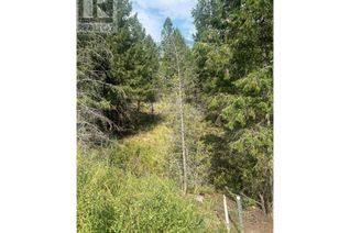 Commercial Land for Sale, Lot 17 Copper Point Way, Windermere, BC