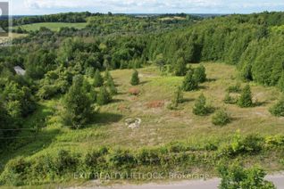 Commercial Land for Sale, 154 Hayes Line, Kawartha Lakes, ON