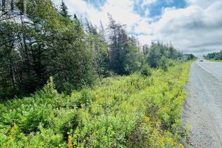 Land for Sale, Route 80 Blaketown, Blaketown, NL