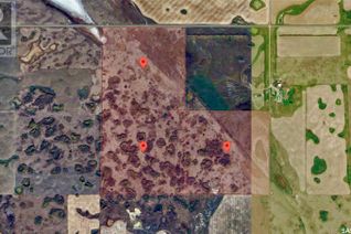 Commercial Farm for Sale, Rm Of Morris Farmland, Morris Rm No. 312, SK