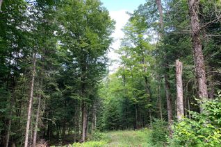 Land for Sale, 203 North Baptiste Lake Rd, Bancroft, ON