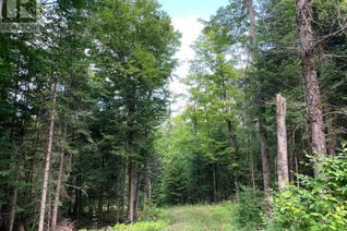 Commercial Land for Sale, 203 North Baptiste Lake Road, Bancroft, ON