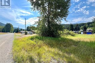 Commercial Land for Sale, Dl 99, Lot 15, 16, 17 Columbia Street, Coalmont-Tulameen, BC