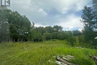 Land for Sale, 33203 Range Road 63, Rural Mountain View County, AB