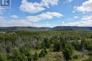 Land for Sale, Cabot Trail Road, Chéticamp, NS