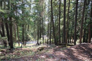 Commercial Land for Sale, Lot 31 Vickers Trail, Anglemont, BC