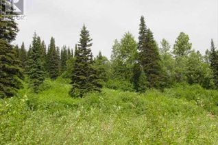 Commercial Land for Sale, 13 Northern Lights Way #LOT, Mackenzie, BC