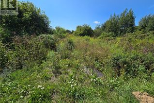 Land for Sale, 6878 Richmond Road, Summerstown, ON