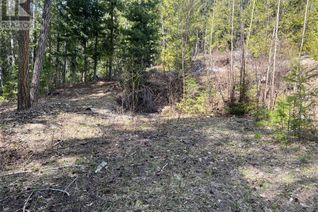 Land for Sale, 67 Pine Street Lot# 67, Anglemont, BC