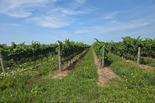 Farm for Sale, 310 Eastchester Ave, Niagara-on-the-Lake, ON