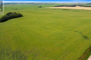 Commercial Farm for Sale, 283 Acres - Pelly, Livingston Rm No. 331, SK