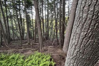 Land for Sale, Lot Clementsport Road, Clementsport, NS