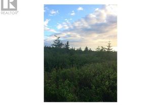 Land for Sale, 163 Ridge Road, Spaniards Bay, NL