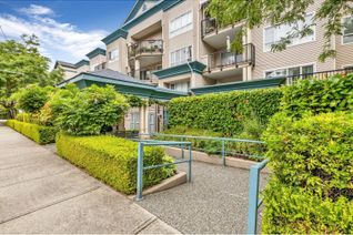 Condo Apartment for Sale, 20727 Douglas Crescent #203, Langley, BC