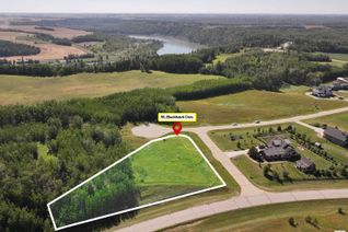 Commercial Land for Sale, 56 25527 Twp Rd 511 A, Rural Parkland County, AB