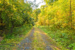 Vacant Residential Land for Sale, Havelock-Belmont-Methuen, ON