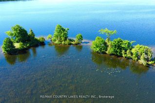 Property for Sale, Lt 1 Island, Kawartha Lakes, ON