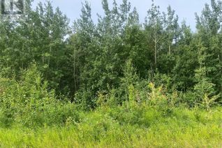 Land for Sale, Rm Of Paddockwood 35 Acre Lot, Paddockwood Rm No. 520, SK